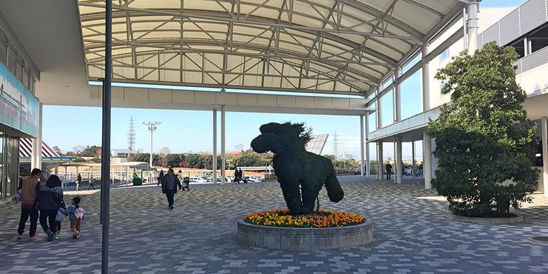 中京競馬場