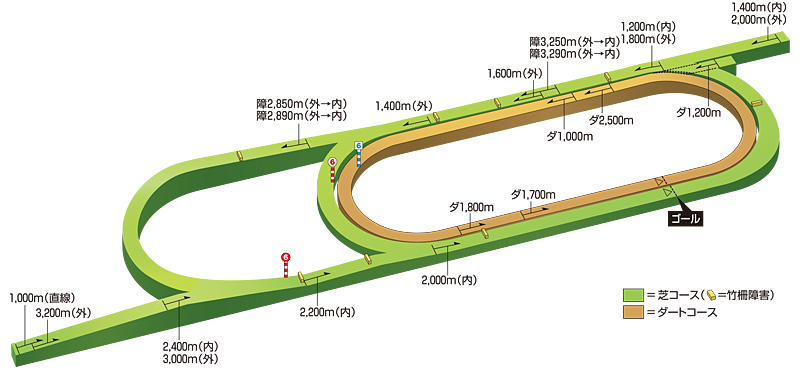 日本一の直線の長さを持つ新潟の芝コース