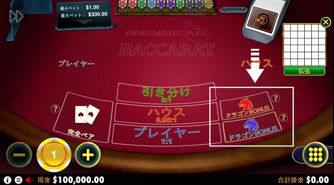 通常の賭けとは別に点差の勝負がある